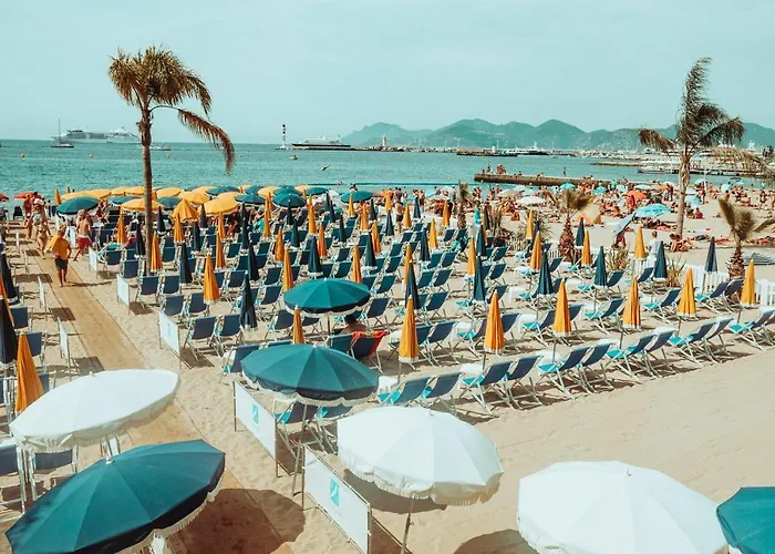 100 M Palais Des Festivals - Croisette - Beach - Congress *